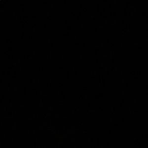 Meet your Posher, Mackenzy